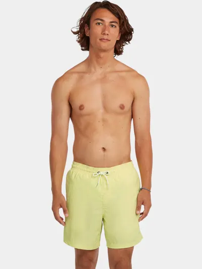 Sorturi de baie pentru barbati O'Neill Vert 16'' Swimshorts barbati