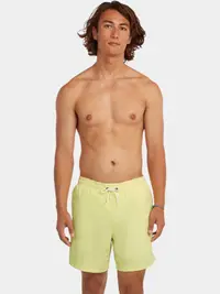 Sorturi de baie pentru barbati O'Neill Vert 16'' Swimshorts barbati
