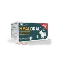 HyalOral Small & Medium Breed, 90 tablete
