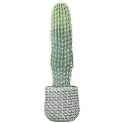 HOMCOM Cactus artificial 66 cm, plantă artificială decorativă cu ghiveci pentru decor interior, verde | Aosom Romania