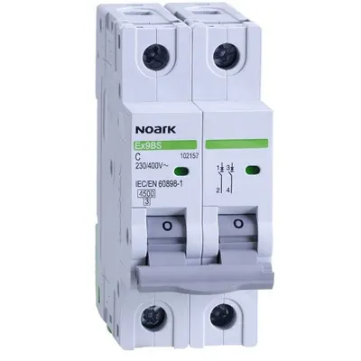 Siguranta automata Ex9BS 2P 2A 4.5kA curba C Noark 102147