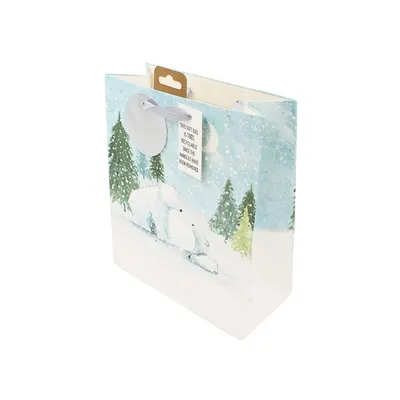 Pungă de cadou, din hârtie, colecția Clairefontaine de la Eurowrap, 33x26,5 cm, burduf de 14 cm, Polar bear