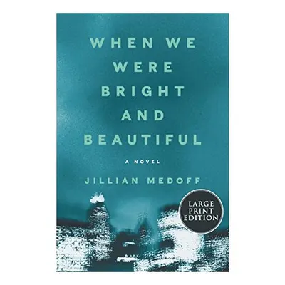 When We Were Bright and Beautiful, Jillian Medoff