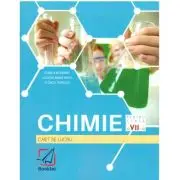 Chimie. Clasa a 7-a, caiet de lucru