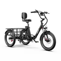 Tricicletă electrică cargo ONESPORT OT30 PRO Baterie 48V 18Ah