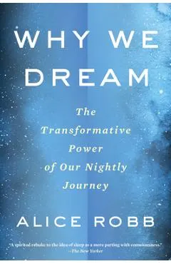 Why We Dream: The Transformative Power of Our Nightly Journey