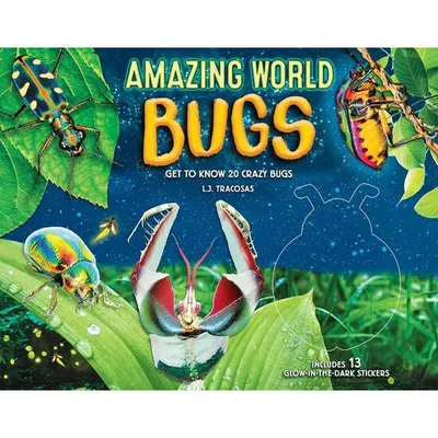Amazing World: Bugs