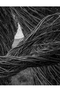 Patrick Dougherty James Florio: Sticks