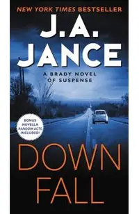 Downfall: A Brady Novel of Suspense