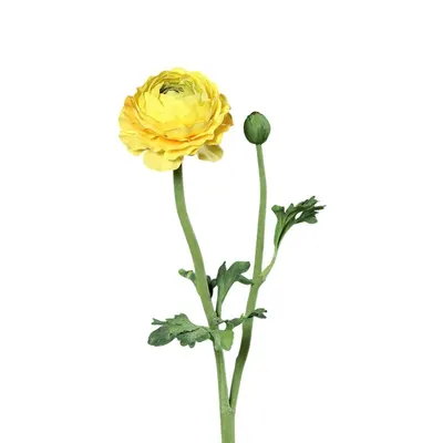 Plantă artificială (înălțime 50 cm) Buttercup – Ego Dekor