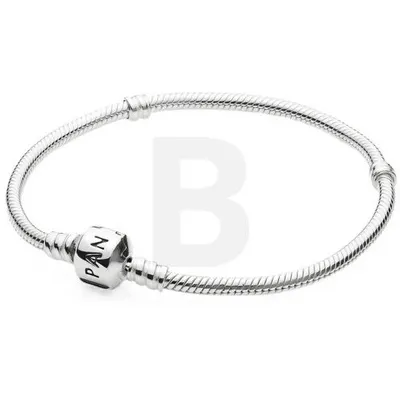 PANDORA Pandora Moments 590702HV-20