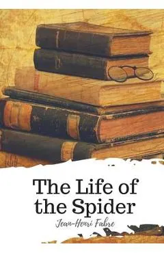 The Life of the Spider