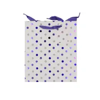 Punga Clairefontaine M Spot Foil Neat