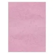 Coperta indosariere A4 CNX, carton imitatie piele, roz, 230g/mp, top 100 coli