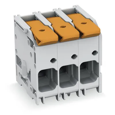 PCB terminal block; lever; 16 mm²; Pin spacing 10 mm; 2-pole; Push-in CAGE CLAMP®; 16,00 mm²; green