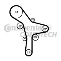 Curea de distributie CONTITECH CT1176