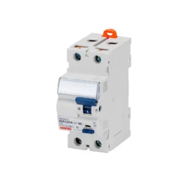 Intrerupator diferential - IDP - 2P 40A F TYPE Idn=0,03AS - 2 module
