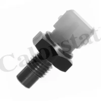 Senzor temperatura lichid racire CALORSTAT by Vernet WS2584