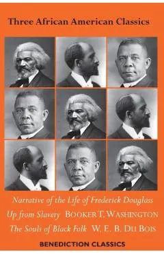 Three African American Classics: Narrative of the Life of Frederick Douglass, Up from Slavery: An Autobiography, The Souls of Black Folk