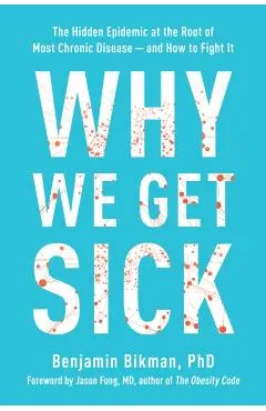 Why We Get Sick: The Hidden Epidemic at the Root of Most Chronic Disease and How to Fight It