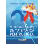Memorator si indrumar de matematica pentru liceu