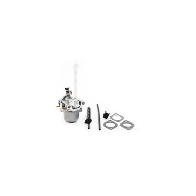 Carburator Briggs-Stratton (696737, 793161, 794593, 796122) ORIGINAL