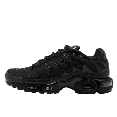 Air Max Plus Triple Black