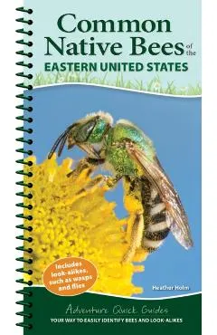 Common Native Bees of the Eastern United States: Your Way to Easily Identify Bees and Look-Alikes