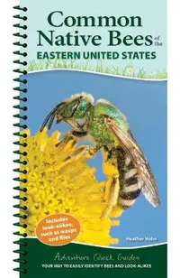 Common Native Bees of the Eastern United States: Your Way to Easily Identify Bees and Look-Alikes