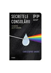 Secretele consolării - Paperback brosat