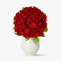 Buchet de 55 trandafiri rosii