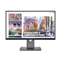 Monitor Consumer Lenovo ThinkVision P27QD-40, 27", 2560 x 1440 pixeli, Black, 2 ani Garantie