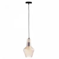 Corp de iluminat suspendat TommynP043PL-01B