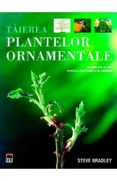 Taierea plantelor ornamentale