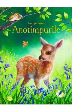 Descopar lumea: Anotimpurile