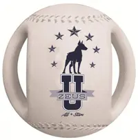 Zeus Minge Baseball