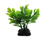 Resun Planta Plastic Boxwood Green 8 cm