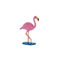 Flamingo roz