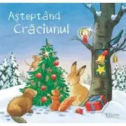 Asteptand Craciunul