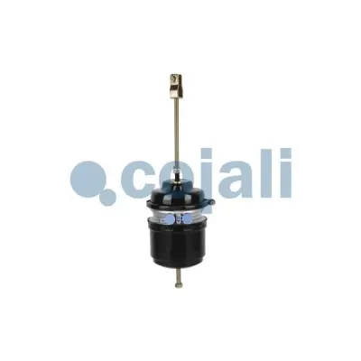 Cojali 2251527