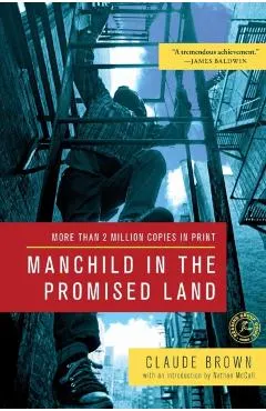 Manchild in the Promised Land