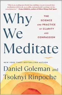 Why We Meditate: The Science and Practice of Clarity and Compassion