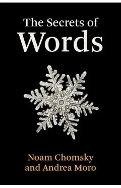 The Secrets of Words