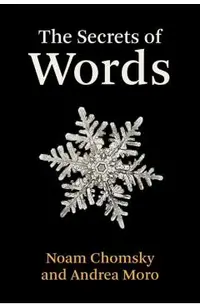 The Secrets of Words