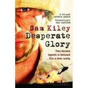 Desperate Glory. At War in Helmand with Britain's 16 Air Assault Brigade