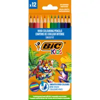 Set 12 creioane colorate, Bic, Evolution Smooth