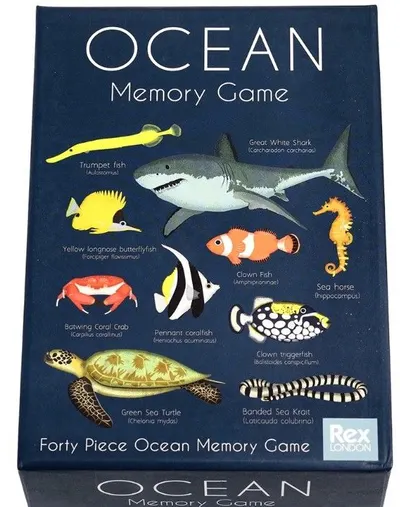 Rex London - Ocean, 40 piese