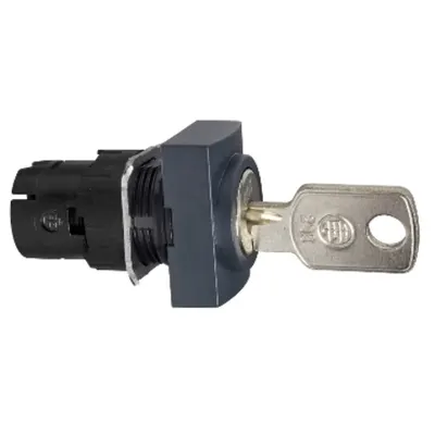 Cap Dreptung. pentru Selector, Ø 16, 2 Pozitii, Revenire cu Arc, Ronis 200