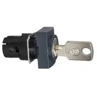 Cap Dreptung. pentru Selector, Ø 16, 2 Pozitii, Revenire cu Arc, Ronis 200