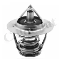 Termostat, lichid racire CALORSTAT by Vernet TH6297.82J